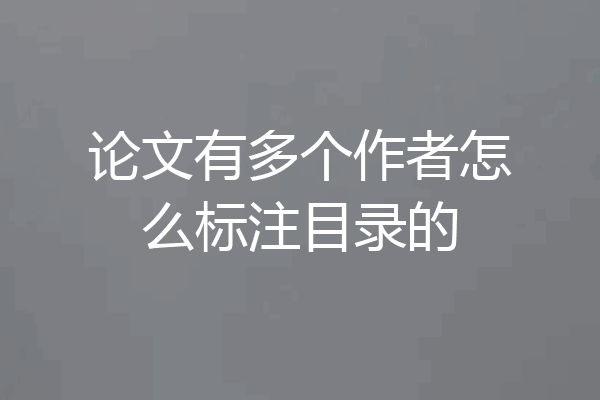 论文有多个作者怎么标注目录的