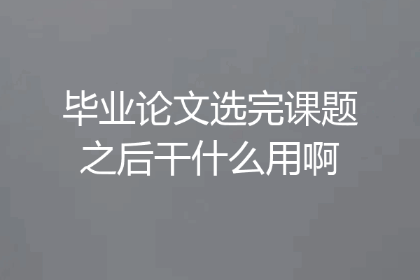 毕业论文选完课题之后干什么用啊