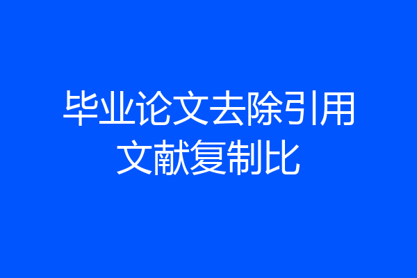 毕业论文去除引用文献复制比