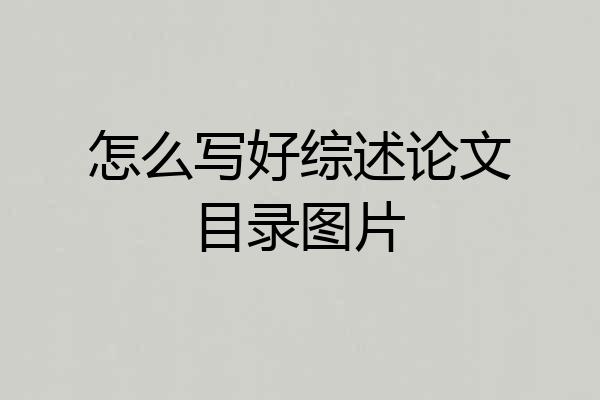 怎么写好综述论文目录图片