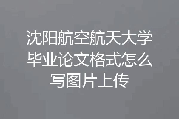 沈阳航空航天大学毕业论文格式怎么写图片上传