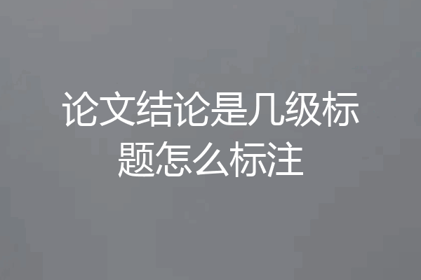 论文结论是几级标题怎么标注