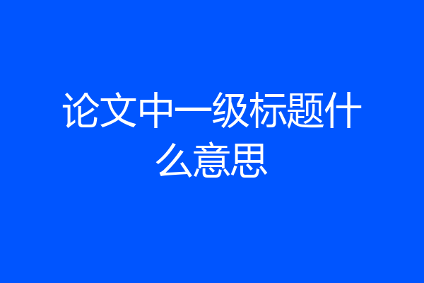 论文中一级标题什么意思