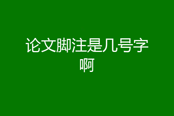 论文脚注是几号字啊