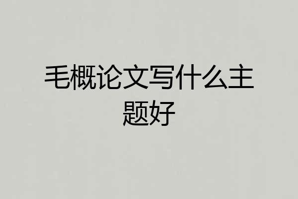 毛概论文写什么主题好