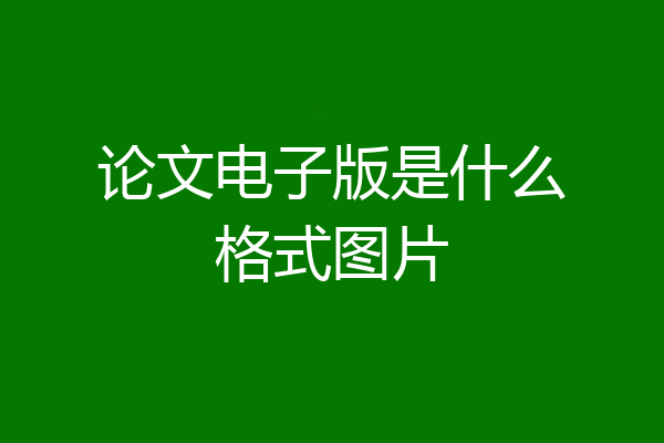 论文电子版是什么格式图片