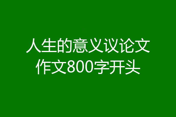 人生的意义议论文作文800字开头