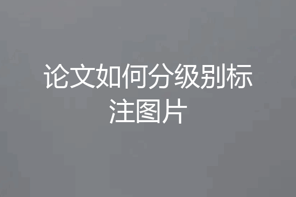 论文如何分级别标注图片