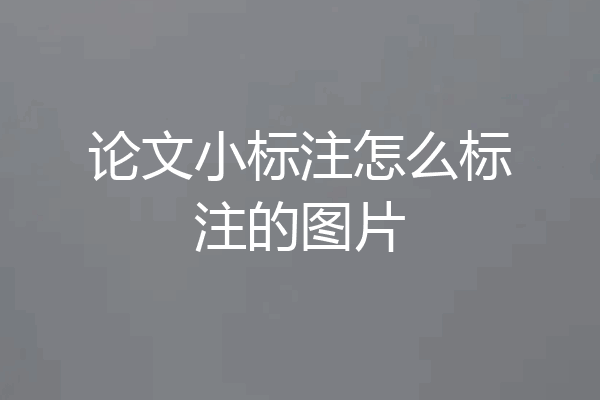 论文小标注怎么标注的图片