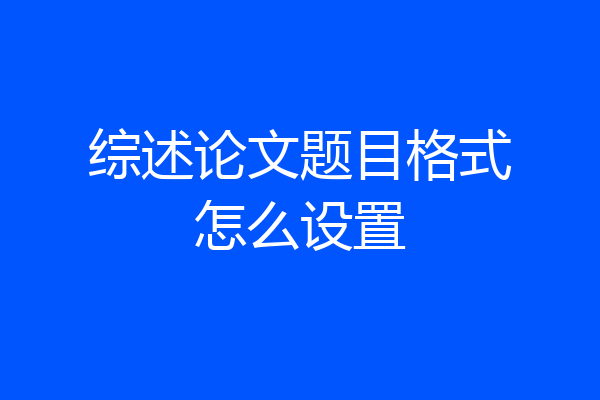 综述论文题目格式怎么设置
