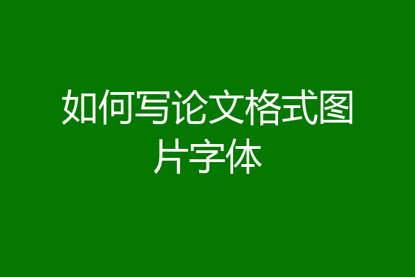 如何写论文格式图片字体