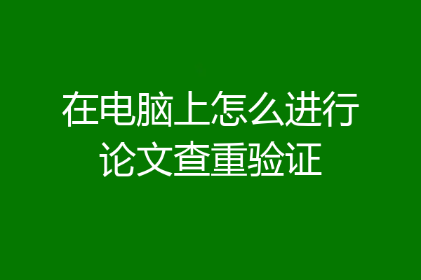 在电脑上怎么进行论文查重验证