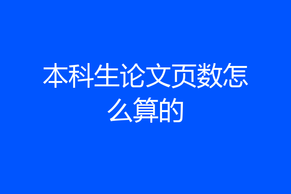 本科生论文页数怎么算的