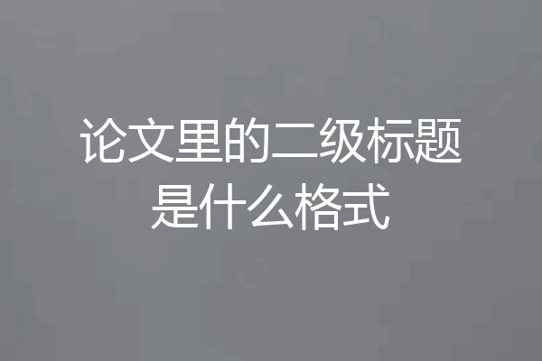 论文里的二级标题是什么格式
