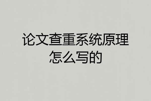 论文查重系统原理怎么写的