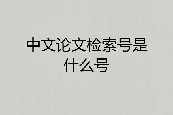 中文论文检索号是什么号