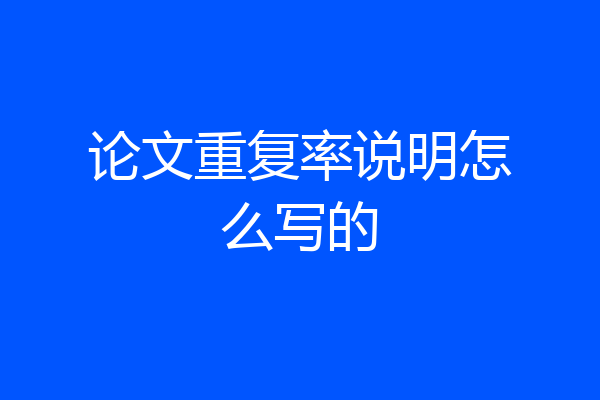 论文重复率说明怎么写的