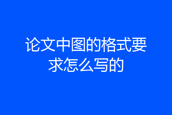 论文中图的格式要求怎么写的