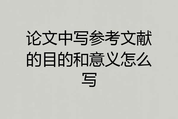 论文中写参考文献的目的和意义怎么写