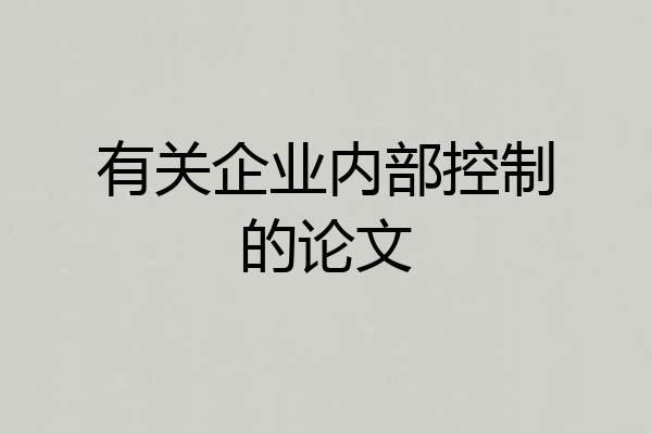 有关企业内部控制的论文