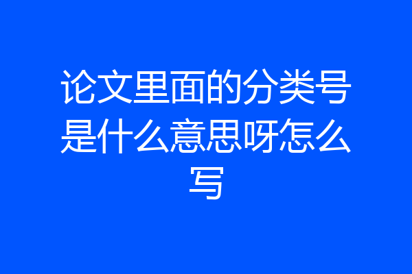 论文里面的分类号是什么意思呀怎么写