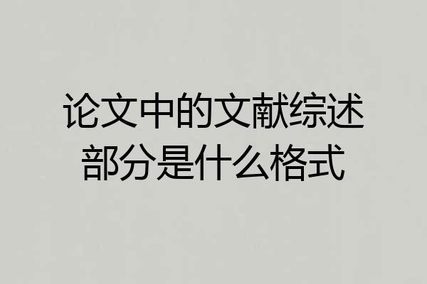 论文中的文献综述部分是什么格式