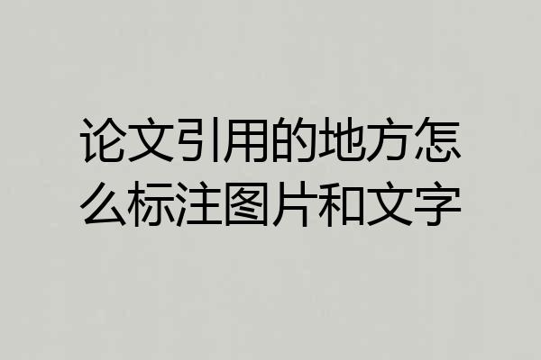 论文引用的地方怎么标注图片和文字