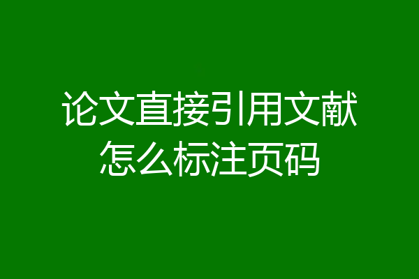 论文直接引用文献怎么标注页码