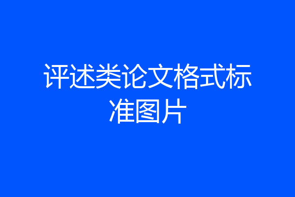 评述类论文格式标准图片