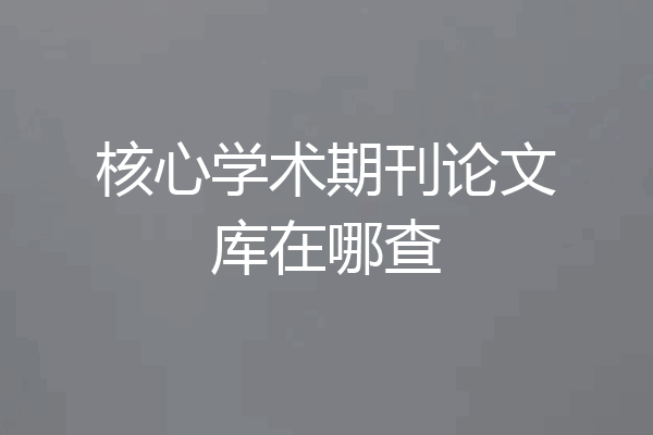 核心学术期刊论文库在哪查