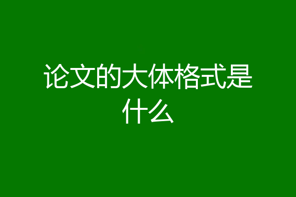 论文的大体格式是什么
