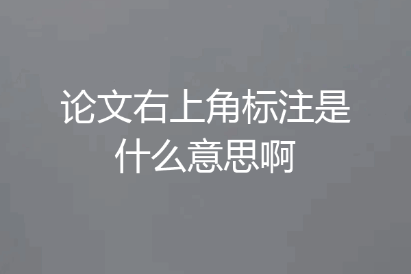 论文右上角标注是什么意思啊