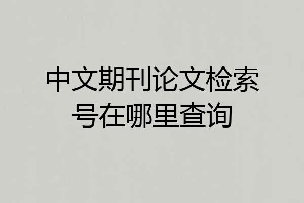 中文期刊论文检索号在哪里查询