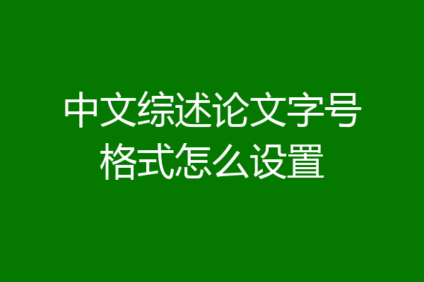 中文综述论文字号格式怎么设置