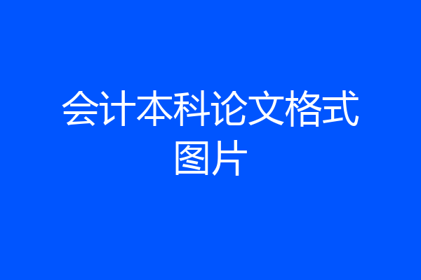 会计本科论文格式图片