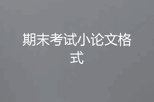 期末考试小论文格式