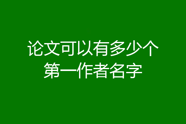 论文可以有多少个第一作者名字