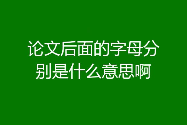 论文后面的字母分别是什么意思啊