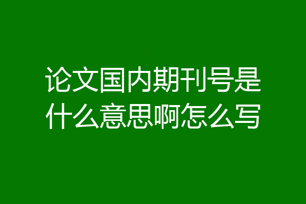 论文国内期刊号是什么意思啊怎么写
