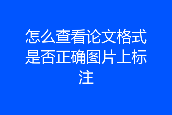 怎么查看论文格式是否正确图片上标注