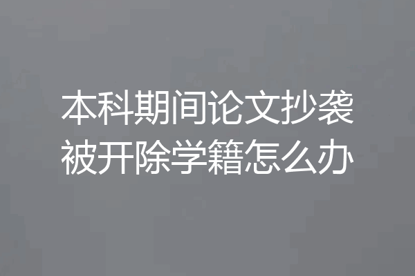 本科期间论文抄袭被开除学籍怎么办