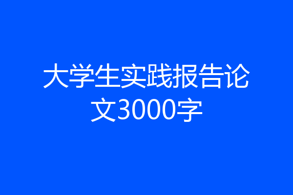 大学生实践报告论文3000字