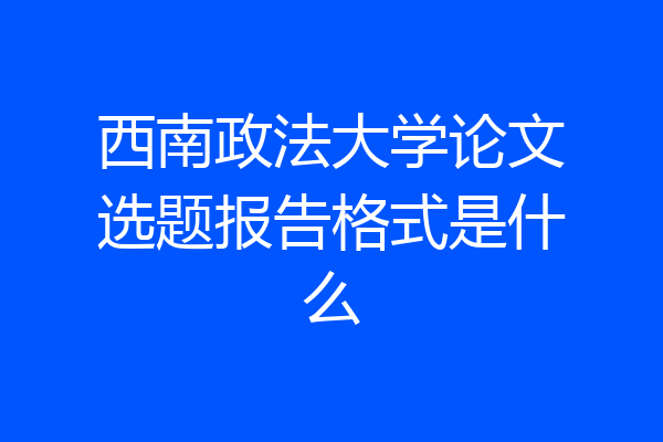 西南政法大学论文选题报告格式是什么