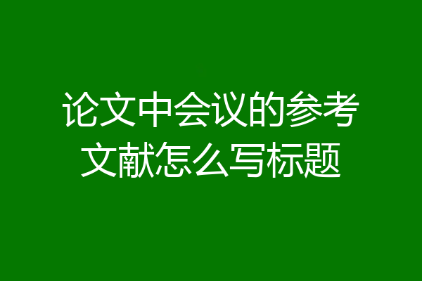 论文中会议的参考文献怎么写标题