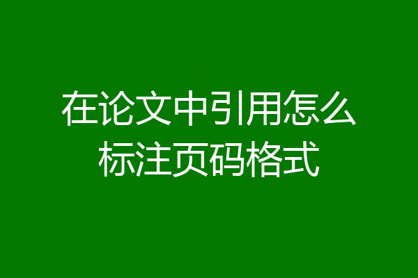 在论文中引用怎么标注页码格式
