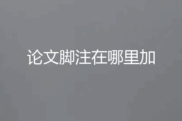 论文脚注在哪里加
