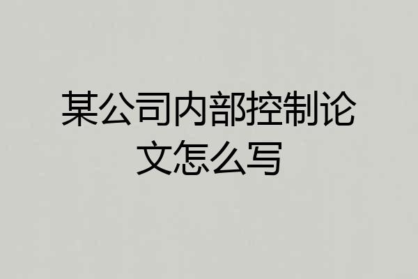 某公司内部控制论文怎么写