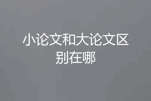 小论文和大论文区别在哪