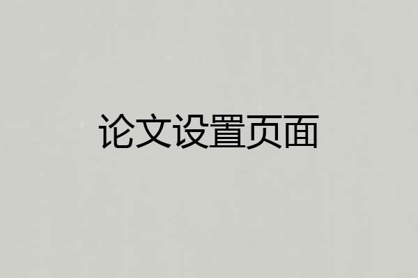 论文设置页面