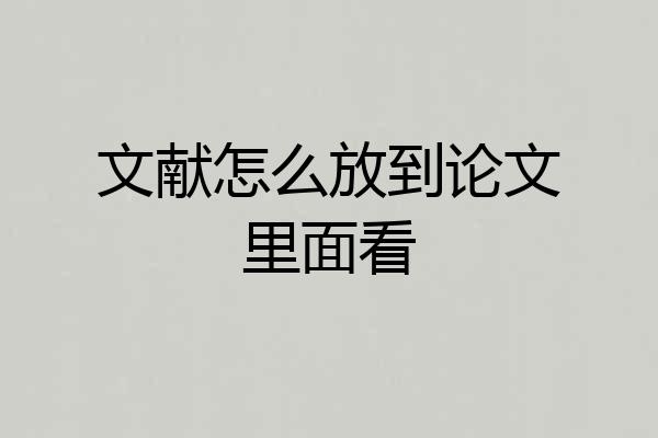 文献怎么放到论文里面看